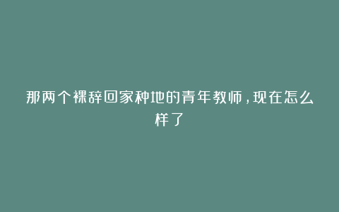 那两个裸辞回家种地的青年教师，现在怎么样了？
