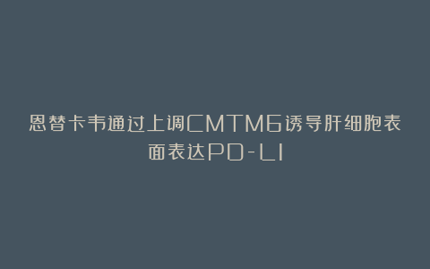 恩替卡韦通过上调CMTM6诱导肝细胞表面表达PD-L1