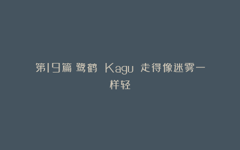 第19篇：鹭鹤 Kagu 走得像迷雾一样轻