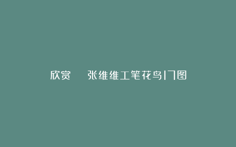 欣赏 | 张维维工笔花鸟17图