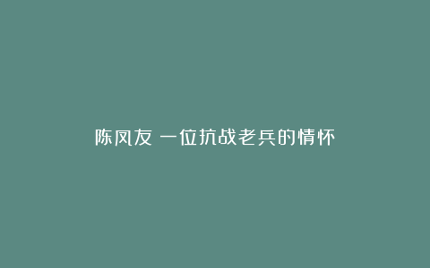 陈凤友：一位抗战老兵的情怀