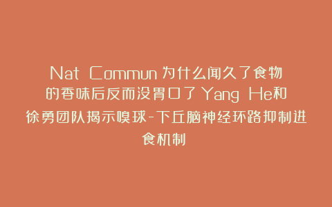 Nat Commun：为什么闻久了食物的香味后反而没胃口了？Yang He和徐勇团队揭示嗅球-下丘脑神经环路抑制进食机制​​