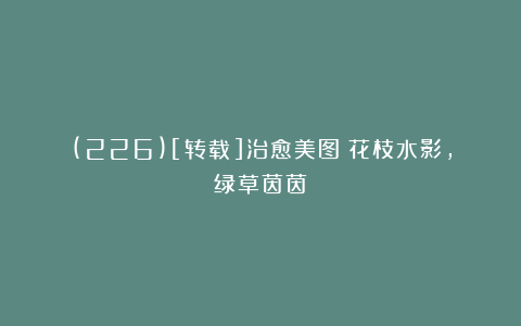 (226)[转载]治愈美图：花枝水影，绿草茵茵