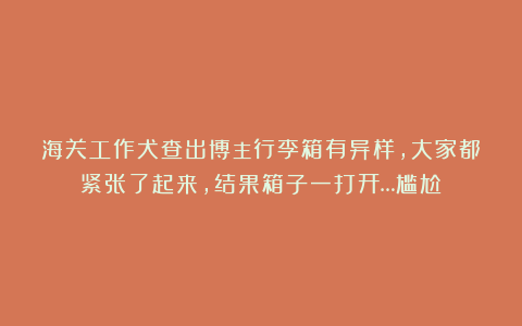海关工作犬查出博主行李箱有异样，大家都紧张了起来，结果箱子一打开…尴尬！