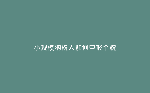 小规模纳税人如何申报个税