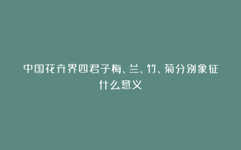 中国花卉界四君子梅、兰、竹、菊分别象征什么意义