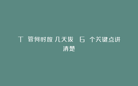 T 管何时放？几天拔？ 6 个关键点讲清楚