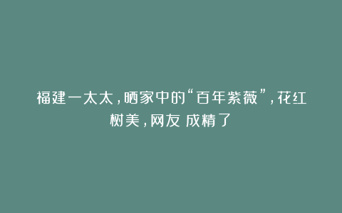 福建一太太，晒家中的“百年紫薇”，花红树美，网友：成精了！
