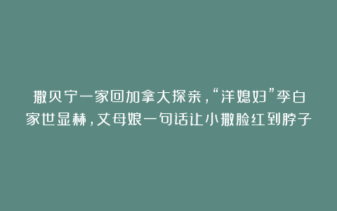 撒贝宁一家回加拿大探亲，“洋媳妇”李白家世显赫，丈母娘一句话让小撒脸红到脖子