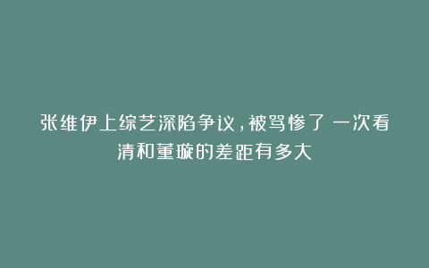 张维伊上综艺深陷争议，被骂惨了！一次看清和董璇的差距有多大？