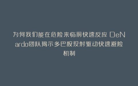 为何我们能在危险来临前快速反应？DeNardo团队揭示多巴胺投射驱动快速避险机制