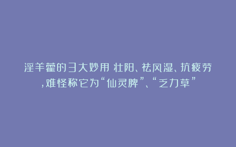 淫羊藿的3大妙用:壮阳、祛风湿、抗疲劳,难怪称它为“仙灵脾”、“乏力草”!