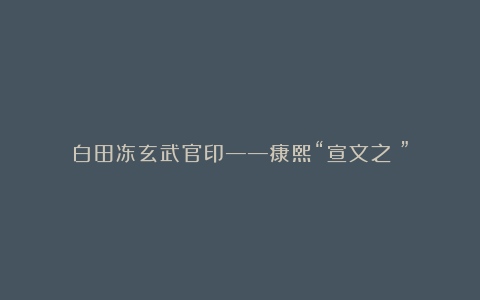 白田冻玄武官印——康熙“宣文之寳”