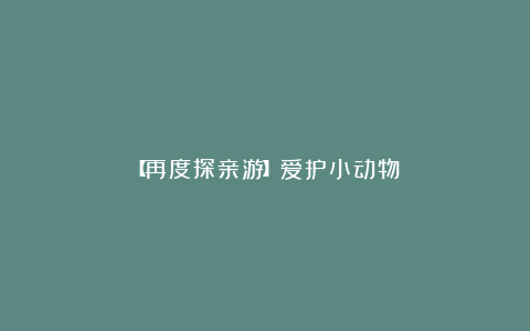 【再度探亲游】爱护小动物