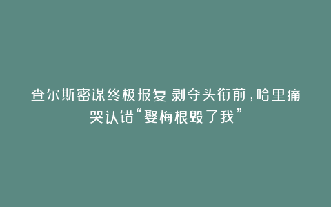 查尔斯密谋终极报复：剥夺头衔前，哈里痛哭认错“娶梅根毁了我”