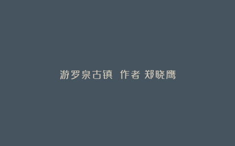 游罗泉古镇 作者：郑晓鹰