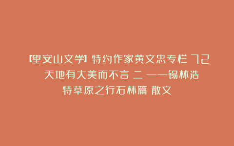 【望安山文学】特约作家黄文忠专栏（72）||天地有大美而不言（二）——锡林浩特草原之行石林篇（散文）