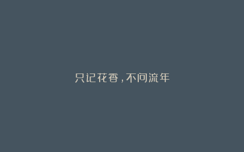 只记花香，不问流年