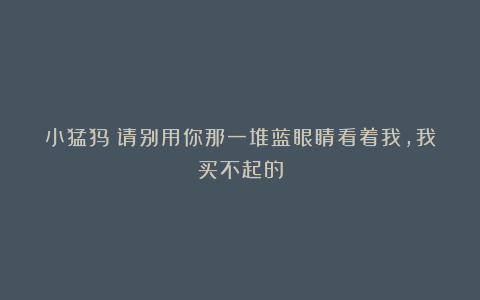 小猛犸：请别用你那一堆蓝眼睛看着我，我买不起的