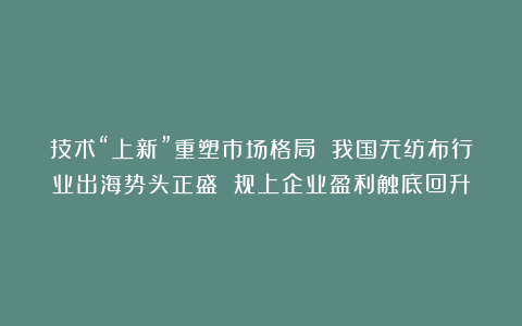 技术“上新”重塑市场格局 我国无纺布行业出海势头正盛 规上企业盈利触底回升