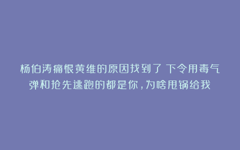 杨伯涛痛恨黄维的原因找到了：下令用毒气弹和抢先逃跑的都是你，为啥甩锅给我？