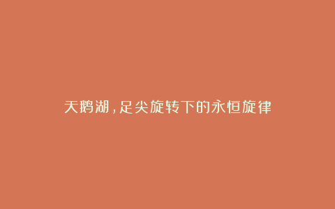 天鹅湖，足尖旋转下的永恒旋律