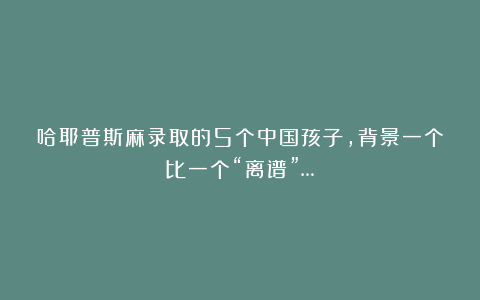 哈耶普斯麻录取的5个中国孩子，背景一个比一个“离谱”…