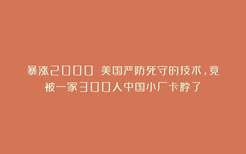 暴涨2000%！美国严防死守的技术，竟被一家300人中国小厂卡脖了？