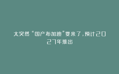 太突然！“国产布加迪”要来了，预计2027年推出