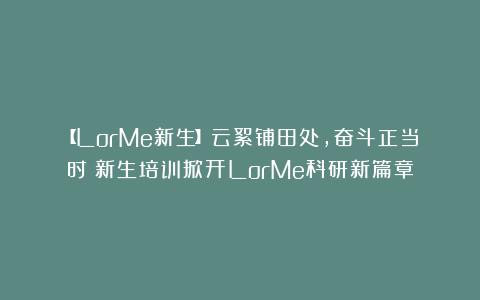 【LorMe新生】云絮铺田处，奋斗正当时：新生培训掀开LorMe科研新篇章
