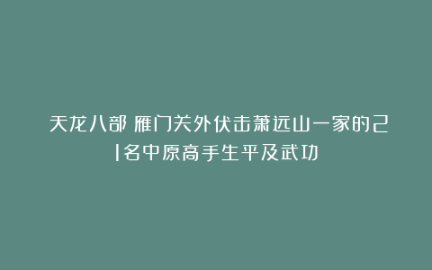 《天龙八部》雁门关外伏击萧远山一家的21名中原高手生平及武功