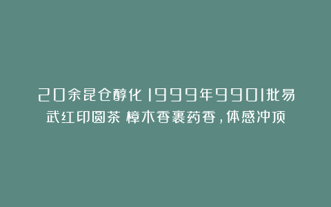 20余昆仓醇化！1999年9901批易武红印圆茶：樟木香裹药香，体感冲顶