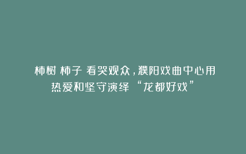 《柿树・柿子》看哭观众，濮阳戏曲中心用热爱和坚守演绎 “龙都好戏”！