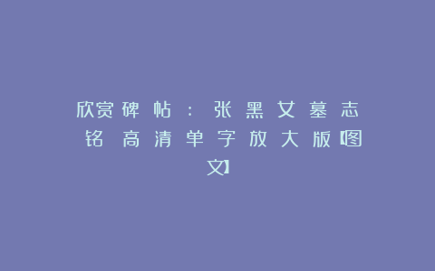 欣赏︱碑 帖 :《 张 黑 女 墓 志 铭 》高 清 单 字 放 大 版【图文】