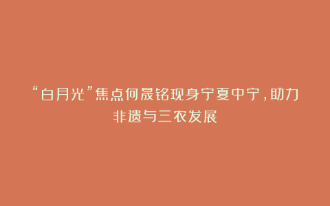 “白月光”焦点何晟铭现身宁夏中宁，助力非遗与三农发展