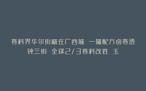 香料界华尔街藏在广西城 一撮配方卤香透骨三街 全球2/3香料改姓 玉