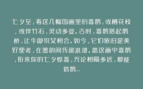 七夕至，看这几幅国画里的喜鹊，或栖花枝、或伴竹石，灵动多姿。古时，喜鹊搭起鹊桥，让牛郎织女相会。如今，它们依旧是美好使者，在墨韵间传递浪漫。愿这画中喜鹊，衔来你的七夕惊喜，无论相隔多远，都能借鹊…