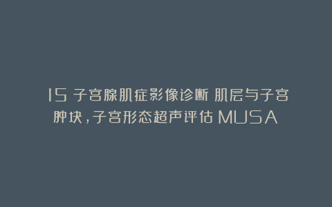 （15）子宫腺肌症影像诊断：肌层与子宫肿块，子宫形态超声评估（MUSA）