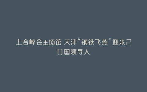 上合峰会主场馆！天津“钢铁飞燕”迎来20国领导人