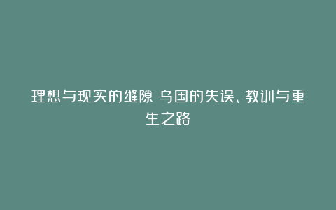 理想与现实的缝隙：乌国的失误、教训与重生之路