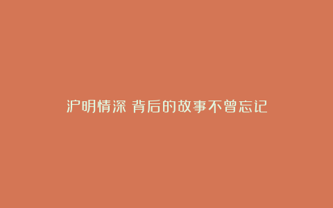 沪明情深！背后的故事不曾忘记