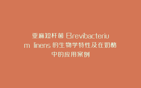 亚麻短杆菌（Brevibacterium linens）的生物学特性及在奶酪中的应用案例