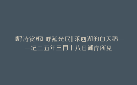【好诗赏析】呼延光民‖莱西湖的白天鹅——记二五年三月十八日湖岸所见