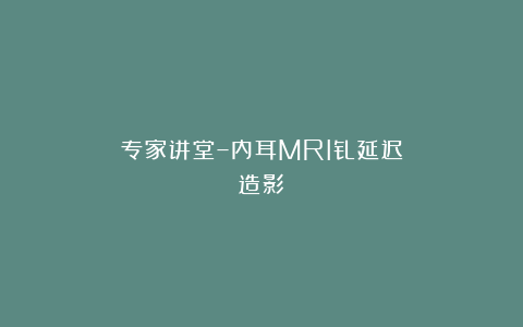 专家讲堂–内耳MRI钆延迟造影