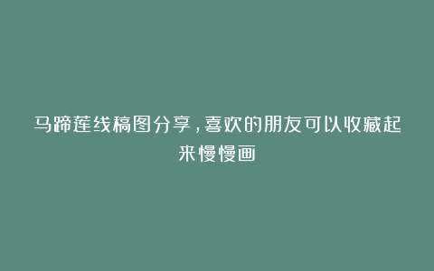 马蹄莲线稿图分享，喜欢的朋友可以收藏起来慢慢画！