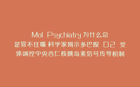 Mol Psychiatry：为什么总是管不住嘴？科学家揭示多巴胺 D2 受体调控中央杏仁核胰岛素信号传导机制