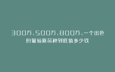 300万，500万，800万，一个出色的葡萄新品种到底值多少钱？
