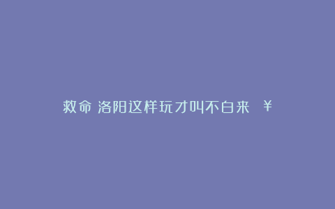 救命！洛阳这样玩才叫不白来💥
