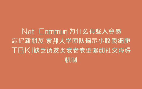 Nat Commun：为什么有些人容易忘记新朋友？索邦大学团队揭示小胶质细胞TBK1缺乏诱发类衰老表型驱动社交障碍机制​