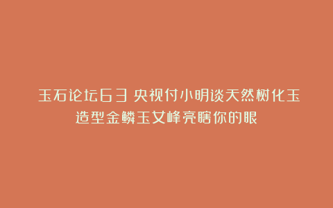 《玉石论坛63》央视付小明谈天然树化玉造型金鳞玉女峰亮瞎你的眼